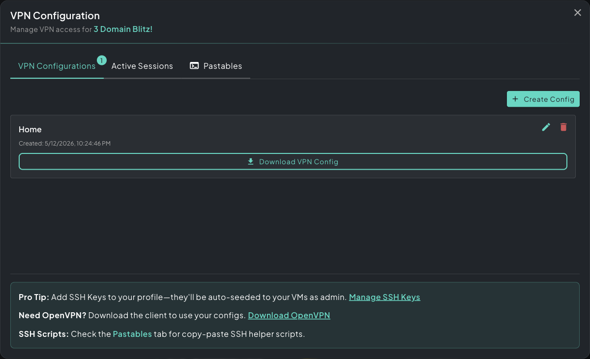 VPN Configuration panel showing a config ready to download